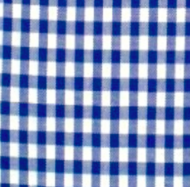 VICHI AZUL REY